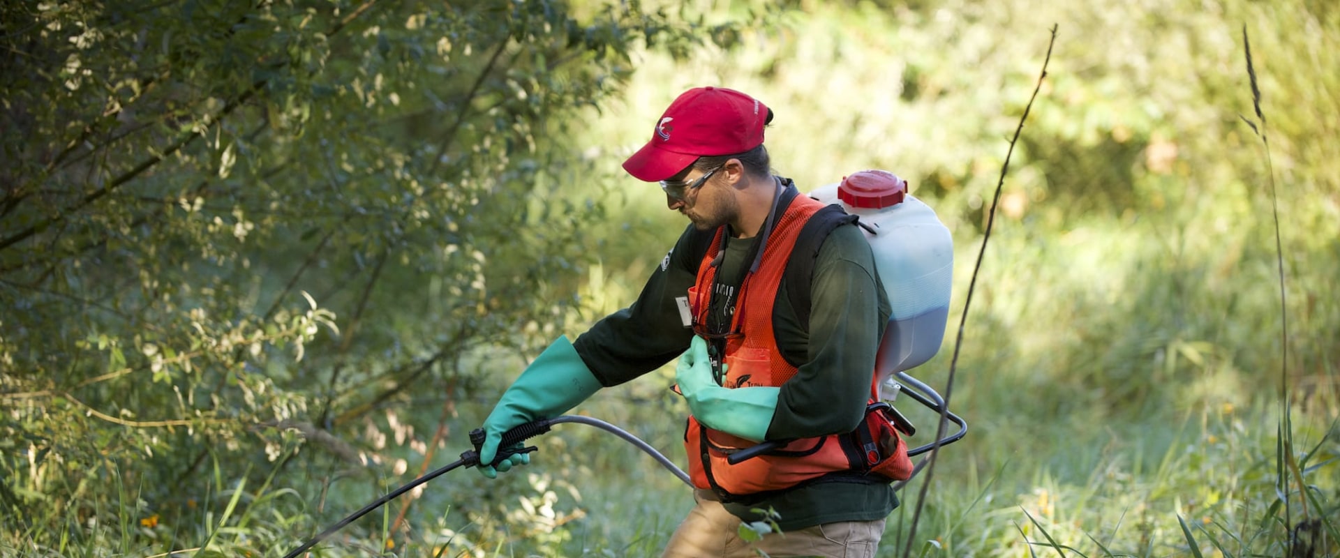 Make a Difference in Your Community: Volunteer Opportunities in Clark County