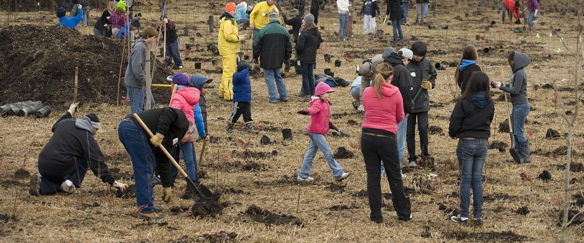 Unlock Volunteering Opportunities in Clark County