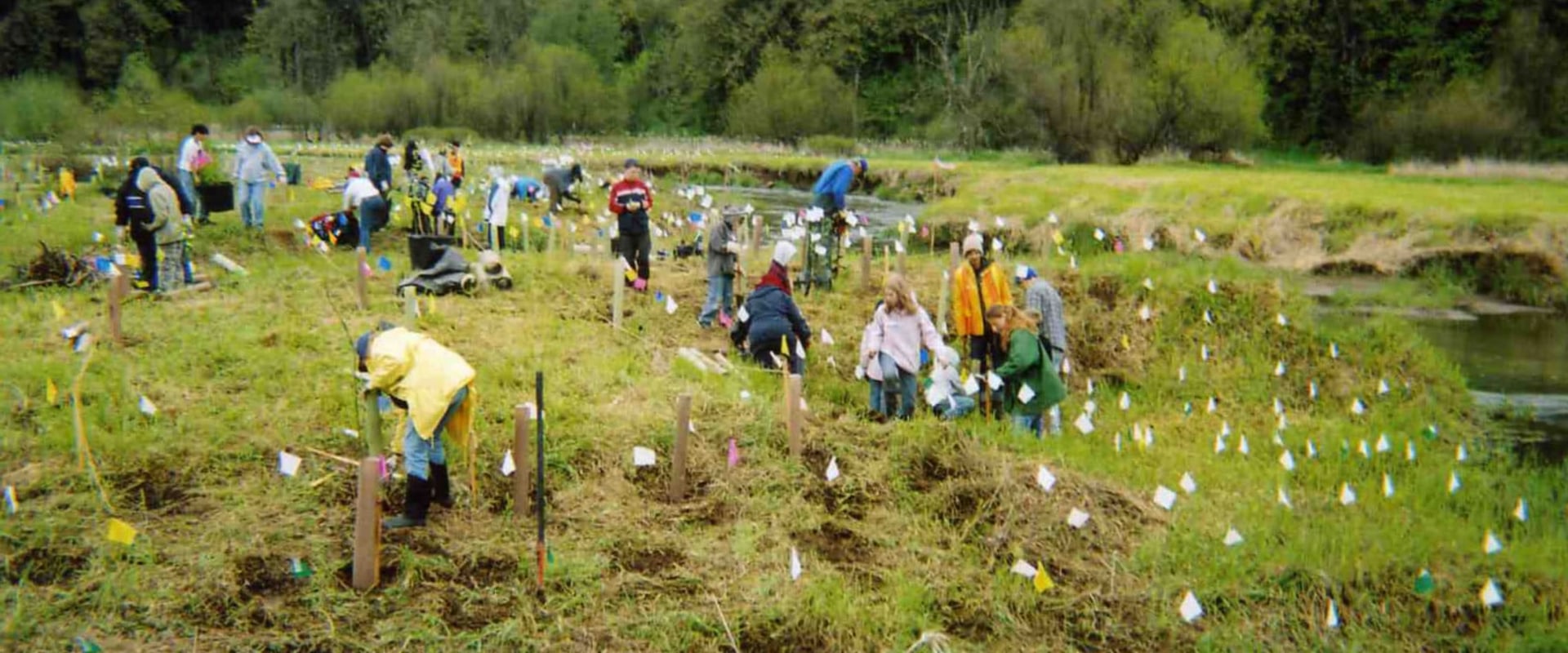 Volunteering in Clark County: A Guide to Giving Back