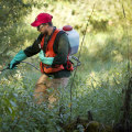 Make a Difference in Your Community: Volunteer Opportunities in Clark County