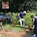 Voluntary Organizations In Clark County: Promoting Collaboration For A Better Future