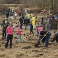 Unlock Volunteering Opportunities in Clark County