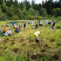 Volunteering in Clark County: A Guide to Giving Back