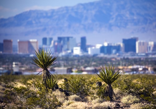 Volunteering in Clark County: Making a Difference in the Community