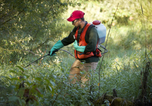 Make a Difference in Your Community: Volunteer Opportunities in Clark County