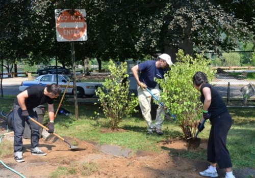 Voluntary Organizations In Clark County: Promoting Collaboration For A Better Future