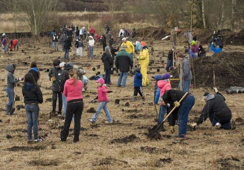 Unlock Volunteering Opportunities in Clark County