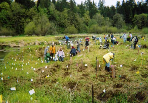 Volunteering in Clark County: A Guide to Giving Back